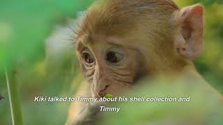 The Clever Monkey and Shy Turtle: How Talking in Terms of Interests Can Transform Lives!