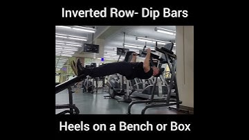 Inverted Row- Dip Bars / Bench or Box