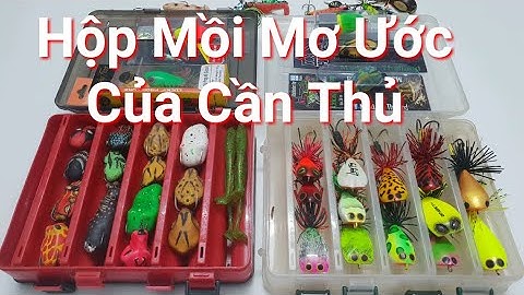 CHIA SẺ KINH NGHIỆM CHỌN MỒI CÂU CÁ LÓC CHO NGƯỜI MỚI VÀ CÁCH CÂU MỒI GIẢ