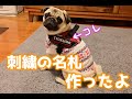 ハーネス用のネームプレートを作ったよ【パグつくし/pug】