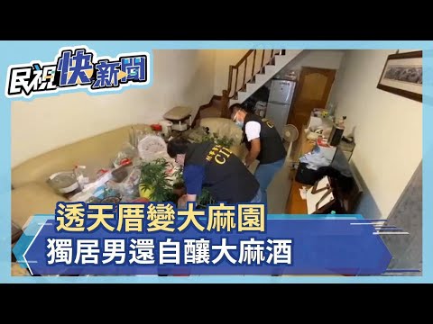 這不是開心農場 透天厝變大麻園 還自釀大麻酒 抓起來法辦－民視新聞