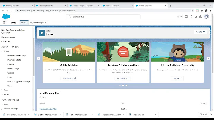 Salesforce Testing Salesforce Interview questions  about Profiles