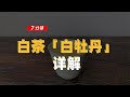 【百味茶集】白茶「白牡丹」详解