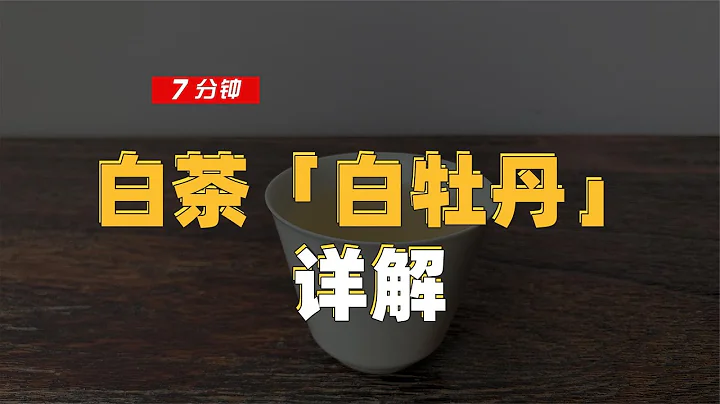 【百味茶集】白茶「白牡丹」詳解 - 天天要聞