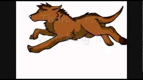 First Cycle Run - Wolf Animation