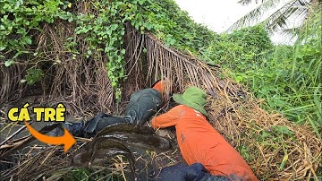 Cây Cỏ Mọc Rậm Rạp, Hang Nào Hang Nấy Chứa Toàn Cá Khủng_Nướng Than Giòn Rụm Chảy Mỡ| ONMT #Tập 119