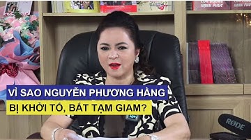 Vì sao Nguyễn Phương Hằng bị khởi tố, bắt tạm giam?