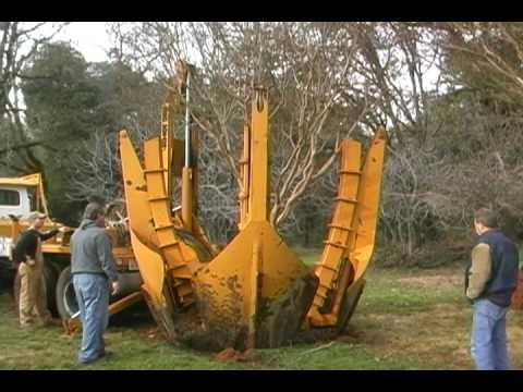 Tree moving at Mendocino College.avi