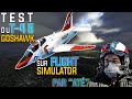 Test du t45 goshawk sur flightsimulator2020