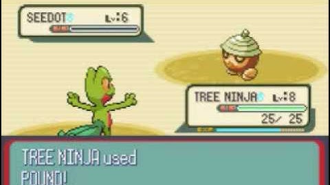 Pokemon Sapphire Walkthrough Part 4: Helping Out Wally