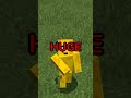 The Illegal Minecraft Skin