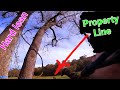 🏆Best Cutting vid to Date❗ Line Trees