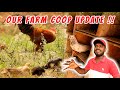 This week we finished lots of farm work  coop update 