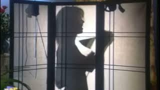 The Naked Truth..Nude Silhouette Undressed Sunny Bum Shadow.. Jerry The King Lawler - Tammy Sytch