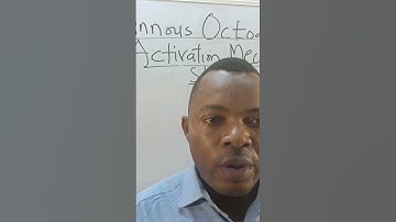 Pu foam Tin catalyst activation mechanism. #education