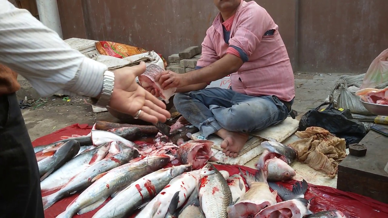 AMAZING INDIAN ROADSIDE FISH CUTTING | cutting & cleaning technique