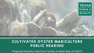 Public Meeting | Proposed Cultivated Oyster Mariculture Nursery-Hatchery in Keller Bay (N-0007)