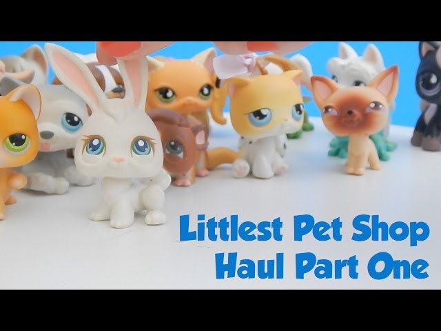 My Pet Shop - Review Part 1