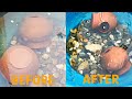 How to clean your aquarium