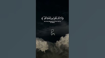 تلاوة عطرة من الشيخ #محمد_اللحيدان #سورة_الزمر