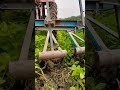 Naam Chale #ytshorts #reelitfeelit #terending #trending #shortvideo #shorts #short #explore #viral