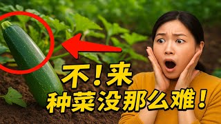 你是不是觉得种菜很难？不！那是因为你只是没选对合适的蔬菜！