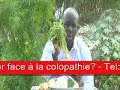 Sen wer gi yaram 519 que faire contre la colopathie