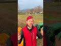 Tutti gli step che ho effettuato in #serra per iniziare i lavori dell'#orto #mattthefarmer