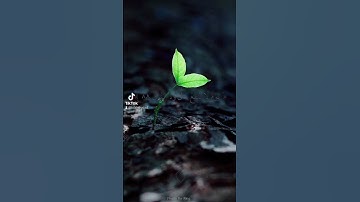 ﴿ يَوْمَ لَا يَنفَعُ مَالٌ وَلَا بَنُونَ﴾[ سورة الشعراء: 88] #exploration
