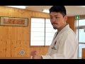 Incredible speed of karate rikiya iimura