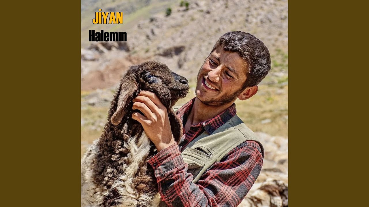 Obejrzyj Halemın w YouTube Obejrzyj Halemın w YouTube