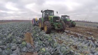ASA-Lift TK 1000 E Капустоуборочный комбайн / Cabbage harvester