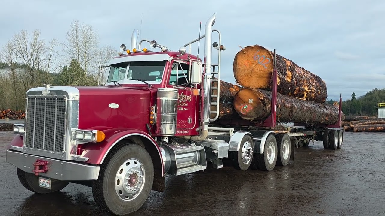 Old growth Alaska Sitka Spruce logs for guitars on a Peterbilt Log truck.