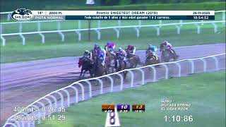 Vidéo de la course PMU PREMIO SWEETEST DREAM 2019