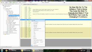 HF Coders .Net Cracking Tutorial #1 | If-Statements Wealth