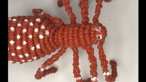 DIY Macrame Spider Tutorial: How to Create a Cute and Easy Decoration for Your Home!!