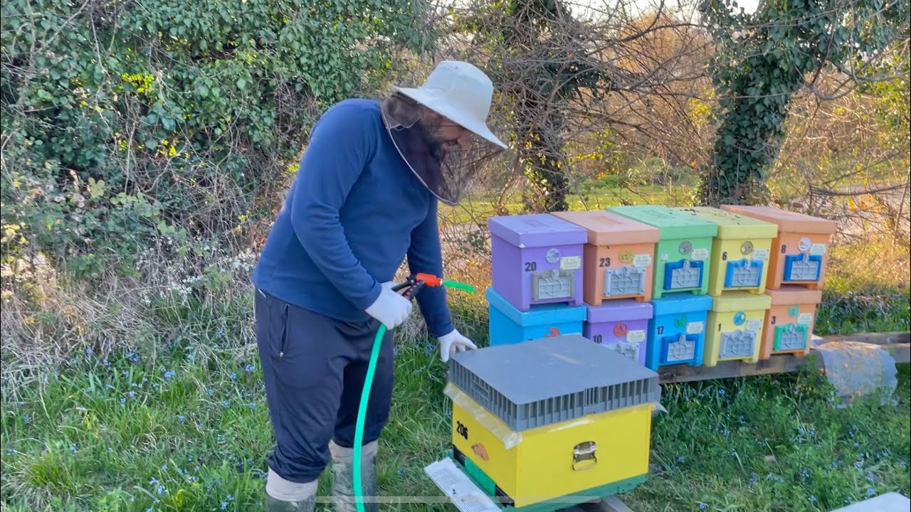 İlkbahar Teşvik Beslemesi | Arılıkta Hızlı Arı Şuruplama Sistemi