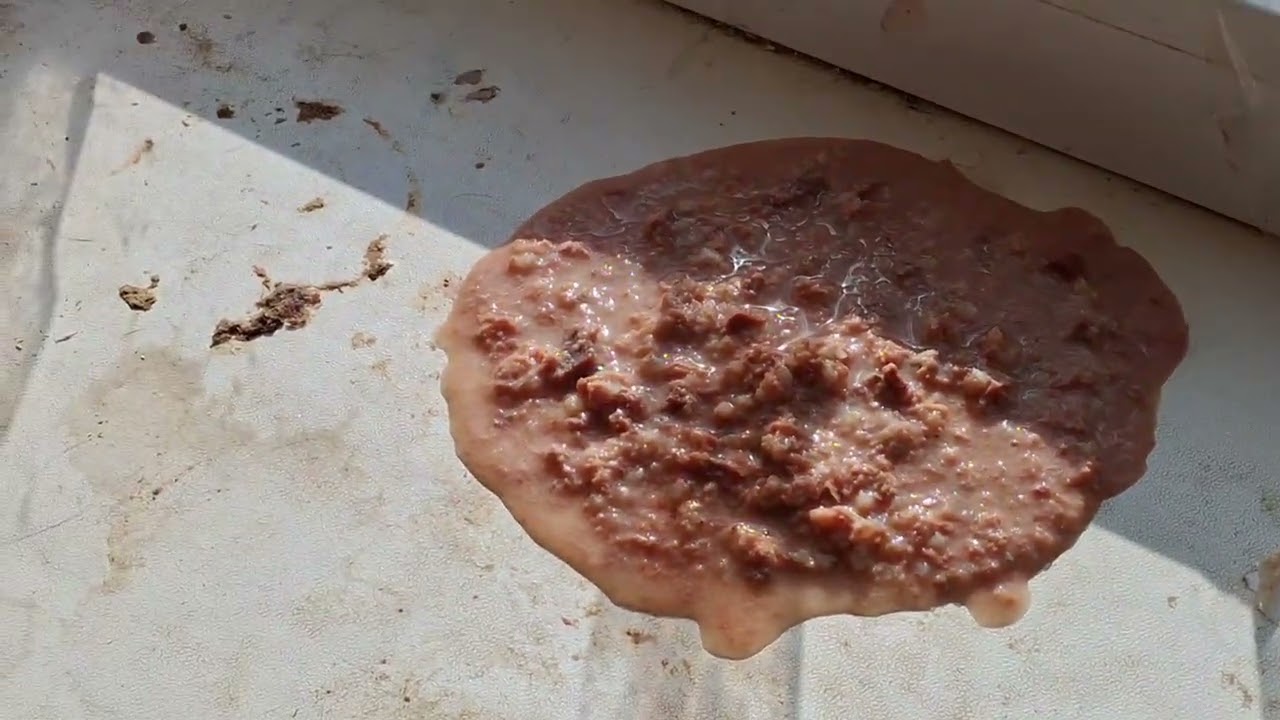 Отчет за 01.03.2026