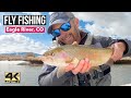 EAGLE RIVER COLORADO FLY FISHING ... catching big Vail valley trout in one of Colorado's freestones!