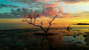 AI Generated CHRIS CORNELL Original Song Video DAWN I