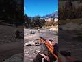 Wild Simulate extreme hunting &amp; survival skills vol307 rdr2 #wildlife #watch #animals #rdr2