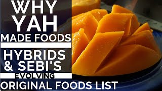 WHY YAH MADE FOODS - HYBRIDS & DR SEBI'S EVOLVING FOOD LIST