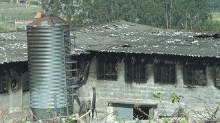 O incendio dunha nave en Meis deixa máis de 12 mil polos mortos