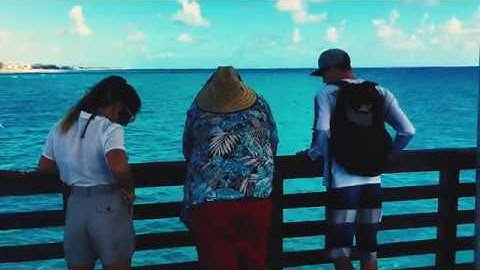 Bonus Points - Hammock Days (Fan-made Music Video)