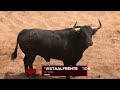 Sorteo toros corrida mixta de Passanha y El Torero en Sevilla, sábado 29 de abril 2023