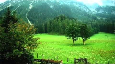 القارئ سعيد باعامر فجرية ٤ محرم ١٤٣٧هـ