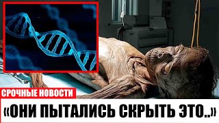 видео: Они только что расшифровали ДНК денисовцев — результат НЕВЕРОЯТЕН! картинка: Они только что расшифровали ДНК денисовцев — результат НЕВЕРОЯТЕН!