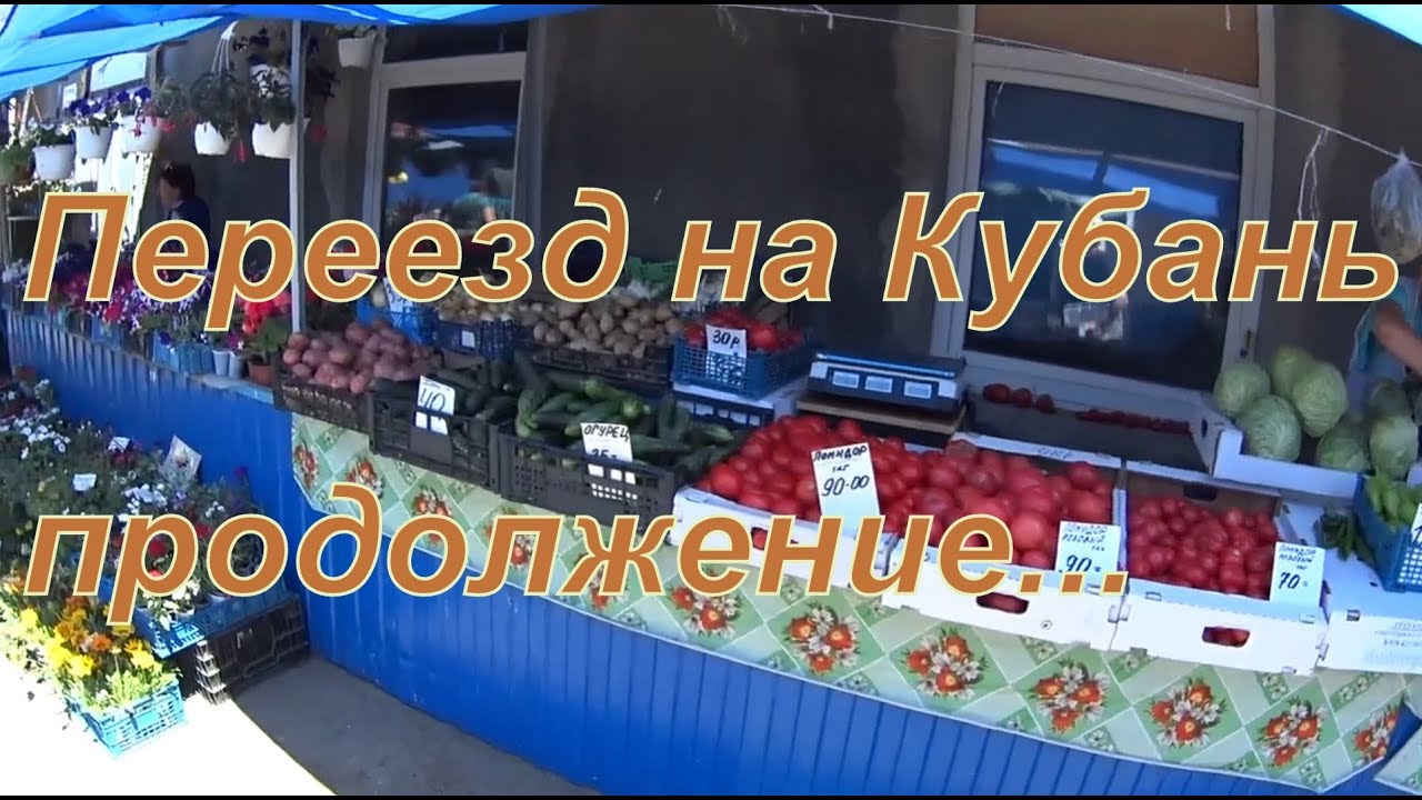 Переехавшие на кубань