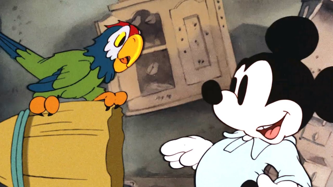 Mickey's Parrot A Classic Mickey Cartoon Have A Laugh YouTube