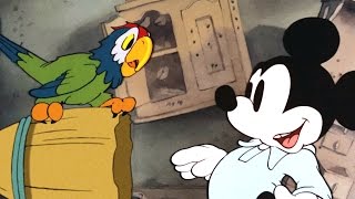 Mickeys Parrot A Clic Mickey Cartoon Have A Laugh